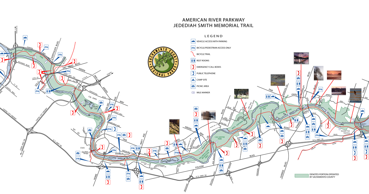 American River Bike Trail Map Alexia Lorraine